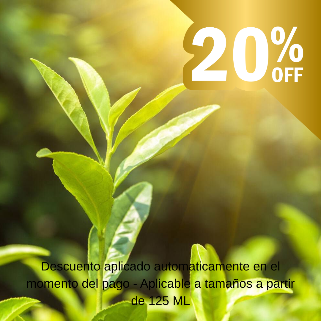 Green Tea & Cucumber Fragrance Oil