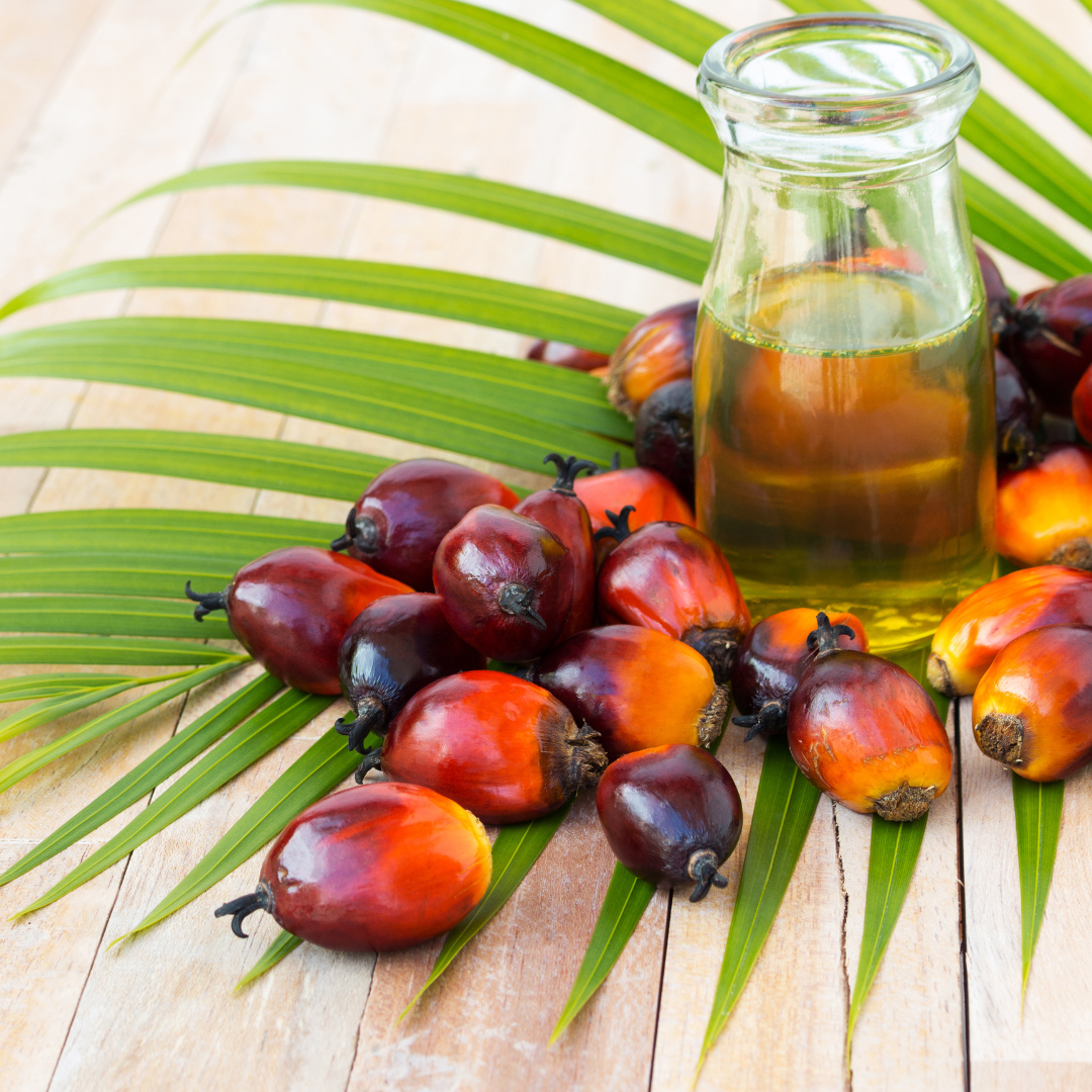 Olio di palma (grado cosmetico)